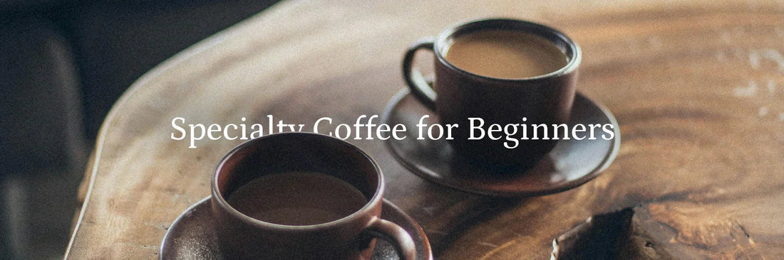 best specialty coffee beans for beginners