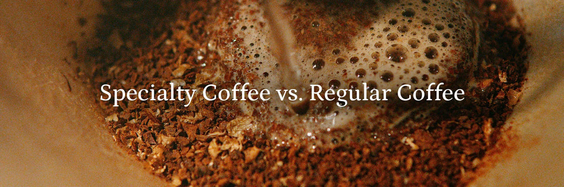 Specialty Coffee vs Regular Coffee
