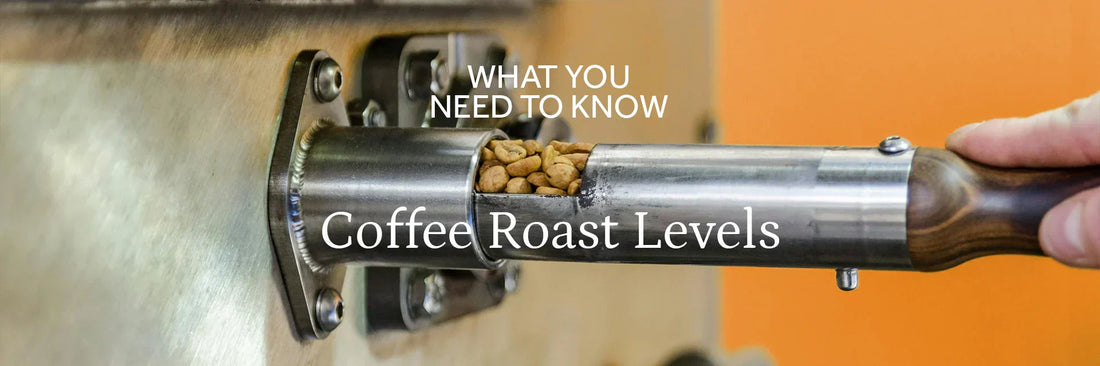 Light vs. Medium vs. Dark Roast Coffee